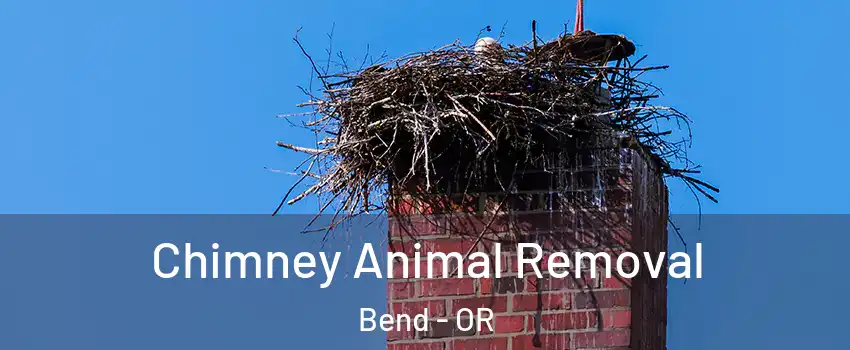  Chimney Animal Removal Bend - OR