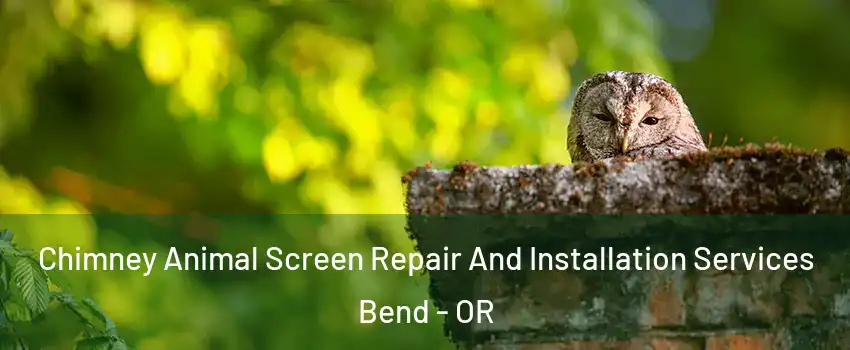  Chimney Animal Screen Repair And Installation Services Bend - OR