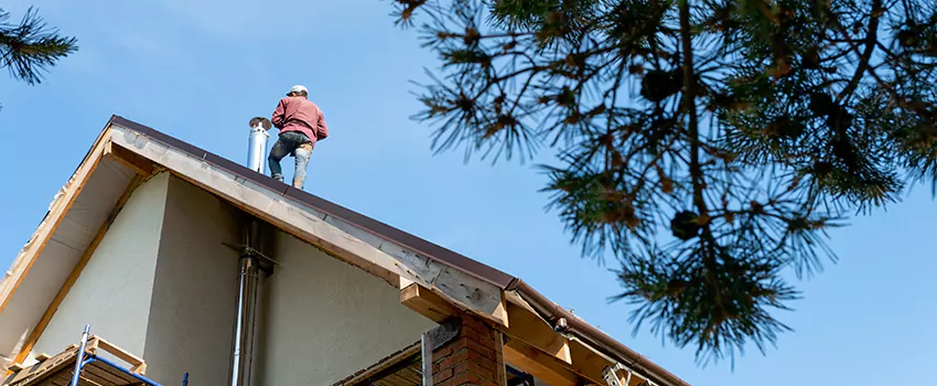 Birds Removal Contractors from Chimney in Bend, OR