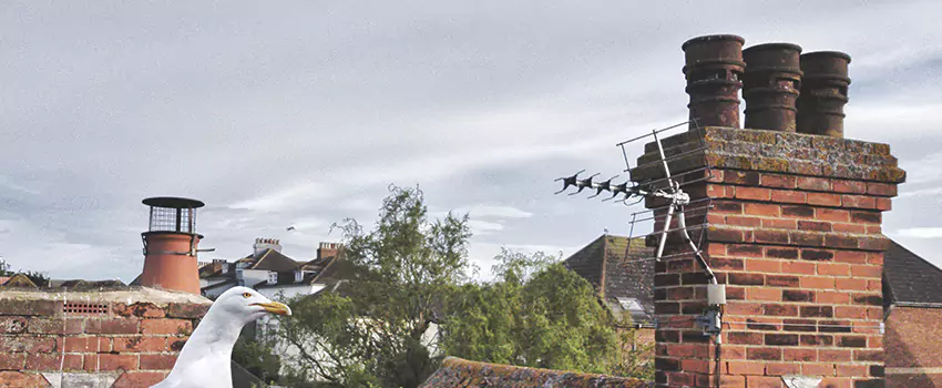Chimney Cleaning And Restoration in Bend, Oregon